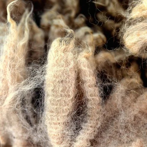 Baby Alpaca Fiber and Raw Fleece