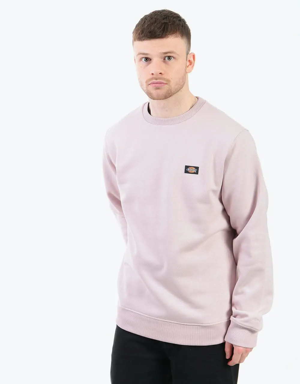 Dickies New Jersey Crew Sweatshirt - Violet