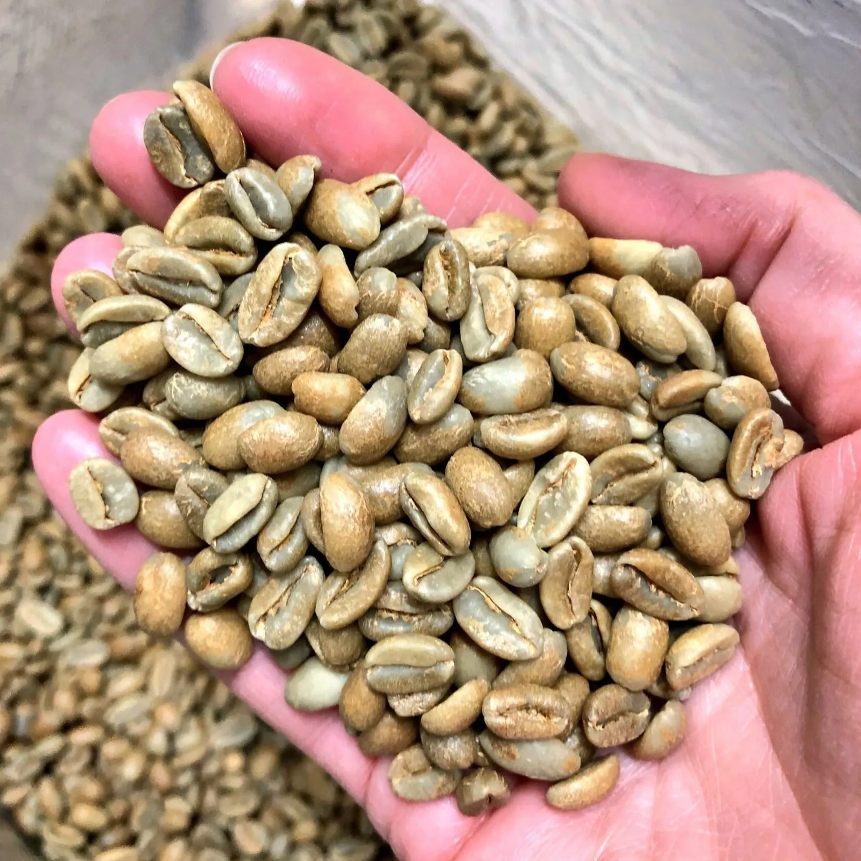 Finca Potosì Pink Bourbon Natural Anaerobic, Caicedonia