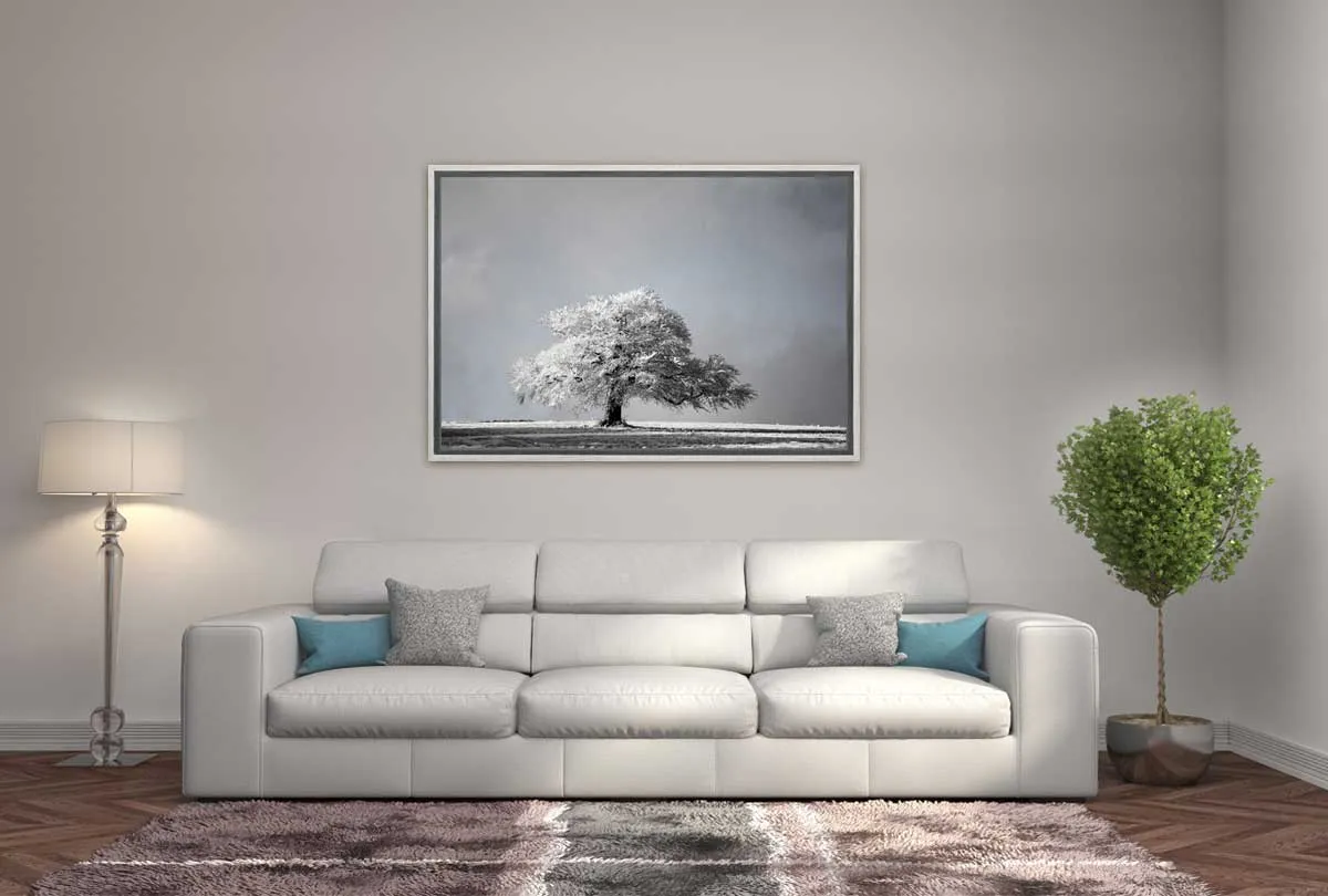 Frost Covered Tree | Canvas Wall Art Print