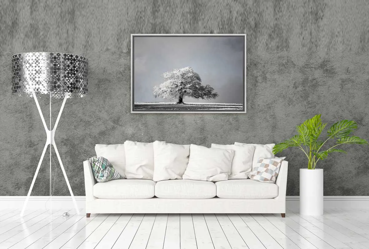 Frost Covered Tree | Canvas Wall Art Print