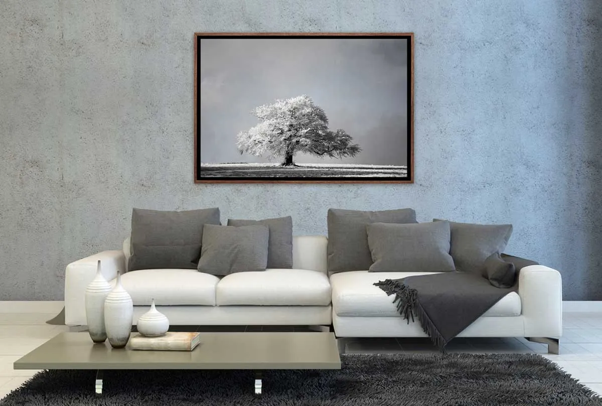 Frost Covered Tree | Canvas Wall Art Print