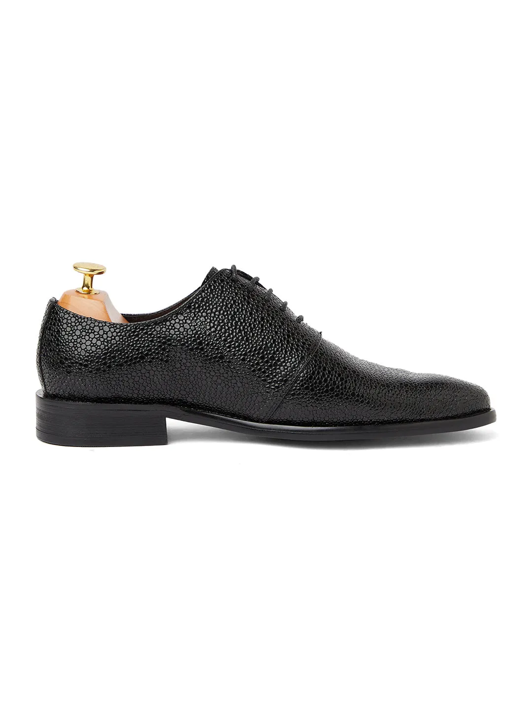 Ostrich British Oxfords - Black