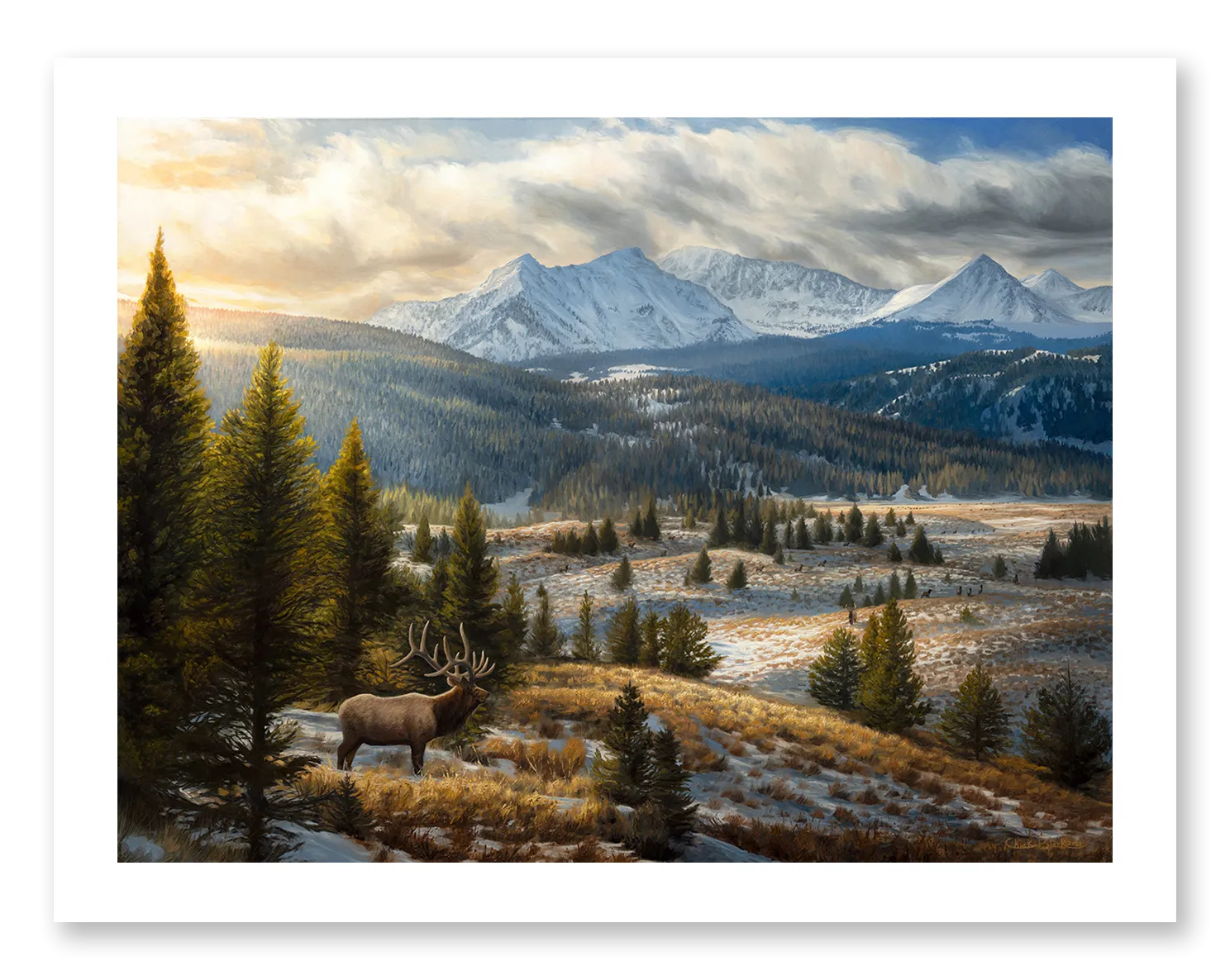 "An Amazing Journey" - Wildlife Art Print, Rocky Mountain Elk