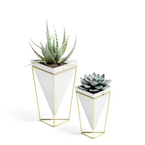 Trigg Tabletop Planters & Storage, Set of 2